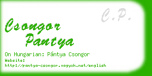 csongor pantya business card