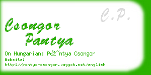 csongor pantya business card